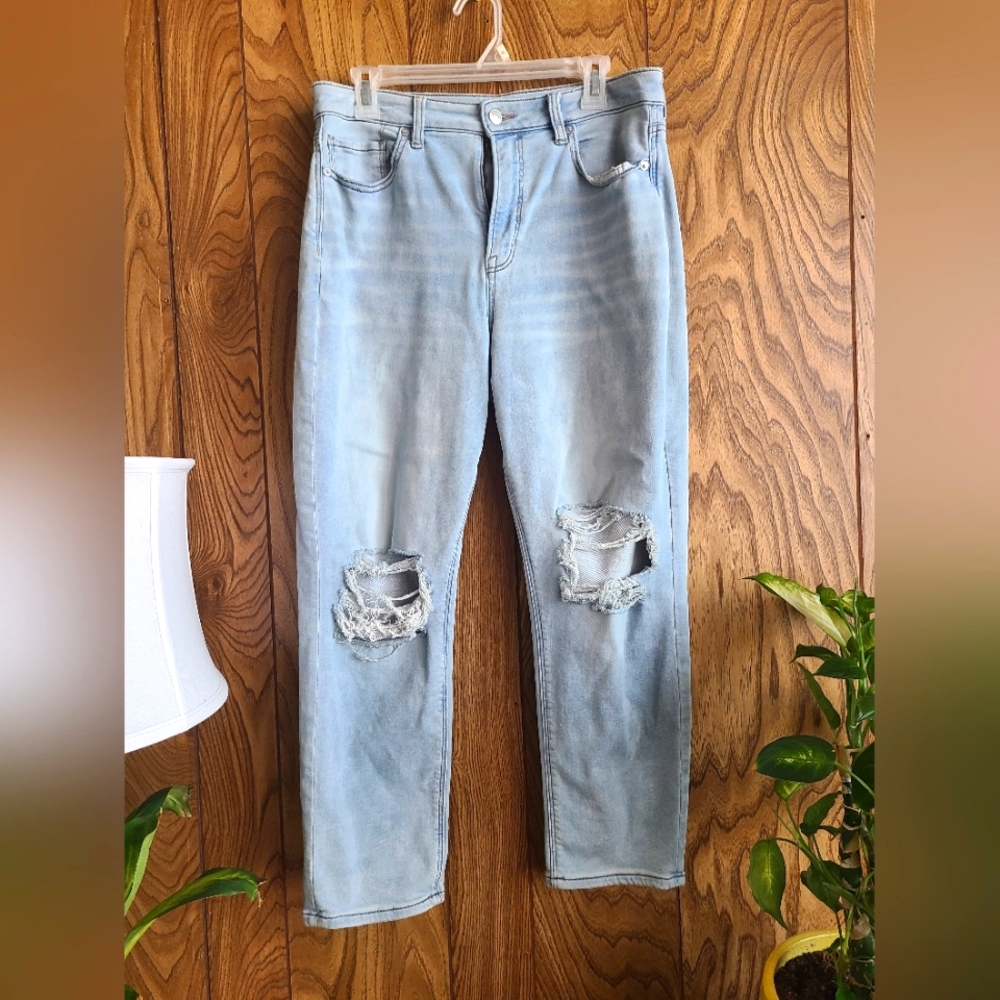 AE Ripped Mom Jean 10 Short
